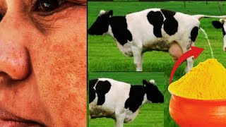 7  நாளில்  மங்கு மறைய இந்த ஒரு பொருள் போதும் How to cure Melasma|Mangu maraiya enna seiya vendum