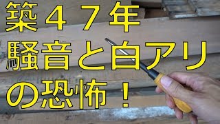 線路極近！⑨築47年　騒音とシロアリの恐怖