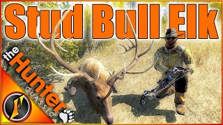 STUD Bull Elk on Our Quest for a Giant Mule Deer! | theHunter Classic