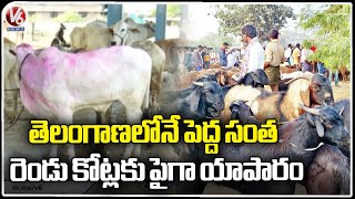 Telangana Largest Santha(Market) In Pandithapuram | Khammam | V6 News