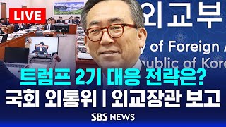 🔴외통위 LIVE | 트럼프 2기 대응 전략, 조태열 외교장관의 대답은? | SBS 생중계