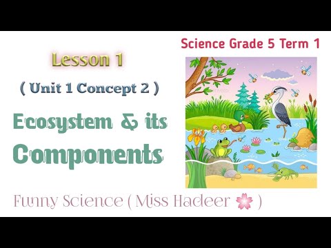 Science, Grade 5, Unit 1,Concept 2,Lesson 1 ( Ecosystem & Its Components ) ساينس خامسة ابتدائي ...