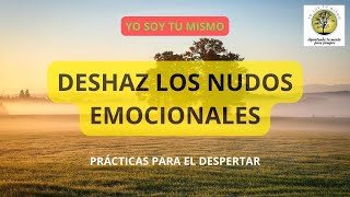 PRACTICA NUDOS EMOCIONALES