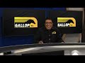 20241226 gallop tv selection show hollywoodbets greyville