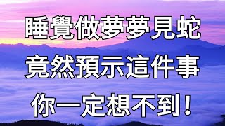 震驚！睡覺做夢夢見蛇，竟然預示這件事！你一定想不到！【禪道】#夢魘 #夢境 #蛇 #預示 #暗示 #高僧 #菩薩 #禪道