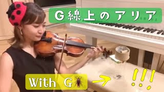 【G線上のアリア】閲覧注意 / ゴキブリ/Air on G string / J.S.Bach/violin【愛する生き物シリーズ】