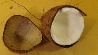 Coconut Opening Fail