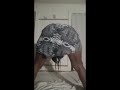 hot BBW girl Baikoko Mapouka Dance