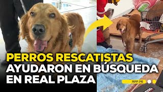 🐾 Perrito ayudó en la búsqueda de heridos en Real Plaza: conoce a Arif #ENCENDIDOSRPP | DESPACHO