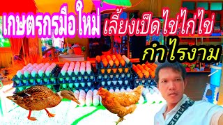 เกษตรผสมผสาน พาเก็บไข่เป็ดไข่ไก่ตอนเย็นๆผลผลิตเยอะมาก..!!