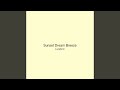 Sunset Dream Breeze