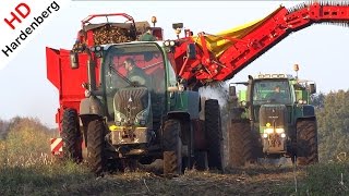 Potato harvest | Fendt 930 + 512 | Grimme SE 150-60 | Aardappels rooien | AVIKO | Uddel | NL.