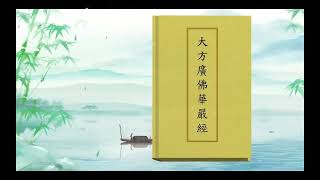 《大方廣佛華嚴經》 卷六十三    第九講    20231010 编号51 x264