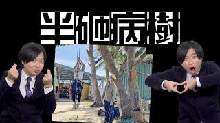 【on.cc東網】【東網評論：樹木管理求求其　病樹危機圍住你】