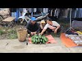 The two brothers picked squash to sell and put clothes to be washed