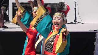 所沢風炎祇神伝～雅～・よっちょれ＠2019　TOKOROZAWA市民文化フェア