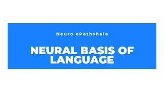 Neural Basis of Language