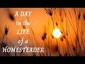 #136 A Day in the Life of a Homesteader