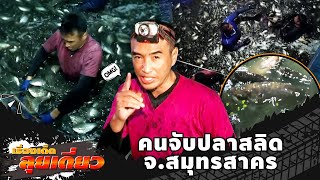 เรื่องเด็ดลุยเดี่ยว | อาชีพ คนจับปลาสลิด จ.สมุทรสาคร | ข่าวเที่ยงอมรินทร์ | 23 ธ.ค. 66