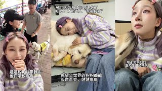 【叶咕】有责任心的小狗，，，真的，，，好令人心疼，，，#导盲犬#tiktok #beauty #cute #daliyvlog #funny #fyp