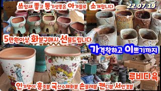 22.07.19/루비다육화분/쓰임새좋고.통기성.가성비최고화분들만/5만이상선물드려요/택배 010 5895 1110