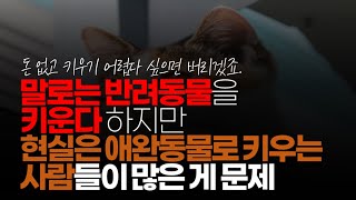 (※시청자댓글) 말로는 반려동물(가족)을 키운다 하지만 현실은 애완동물(장난감)로 키우는 사람들이 많은 게 문제겠죠!