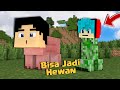 Kita Jadi Mobs Apa Saja dengan Addon ini Di Minecraft PE