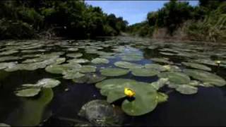 Kayak to Peche Island