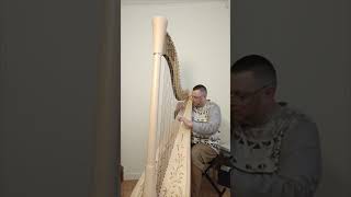 La Mandoline (Grande Fantaisie) - Elias Parish-Alvars, Aurelien Grima harp