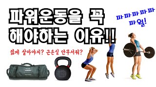 젊게 살고 싶다면...근손실을 늦추려면...파워훈련이다!!!