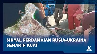 Setelah Bertukar Tahanan, Rusia Ukraina Saling Tarik Pasukan dari Pulau Ular