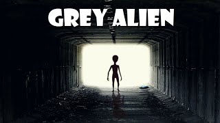 Grey Alien