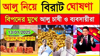 আজকের আলুর বাজার মূল্য | India Potato News West Bengal | Potato Price Today in West Bengal #potato