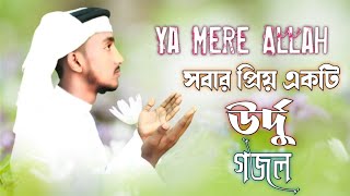 Ya Mere Allah Naat || Meri Qismat Jagane Ko Khuda Ka Naam Kafi Hai || Hasan Ali || Urdu Nasheed.