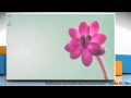 Customize toolbar in Mozilla® Firefox browser on Windows® 8 PC