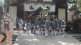 川崎山王祭　稲毛神社　令和元年　町内みこし連合渡御　宮入　境町　2019/8/3 Kawasaki Sanno festival 48