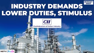 CII Pitches For Lower Excise Duties And Consumption Stimulus Ahead Of Pre-Budget Meeting