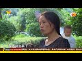 寻情记20171031期：婆婆去世 孝顺媳妇为何被赶出家门超清版