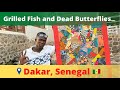 4K VLOG: Dakar, Senegal 2021- Noflaye Beach