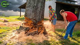 Idiots With Chainsaws: Tree Cutting Fails | Extreme Dangerous Logging Truck Fails #50