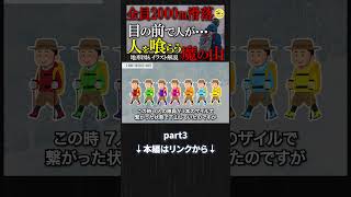日本隊最大の事故 プロですら帰ってこない…魔の山「ミニヤコンカ日本人大量遭難事故」#山岳遭難 #歴史  #滑落