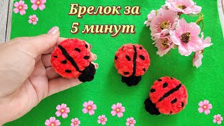 👍БОЖЬЯ КОРОВКА БРЕЛОК ИЗ ПЛЮШЕВОЙ ПРЯЖИ🐞crochet beetle🐞Häkelkäfer