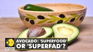 Study: Eating more Avocados improves heart health | World Latest English News | Top News | WION