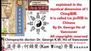 The Lie挒 form of tai chi power or energy explained in the mystical dimension of I Ching易經