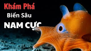 Khám Phá Vùng Biển Sâu Nam Cực | Khám Phá Thế Giới Tự Nhiên