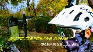 고운산 백련산 녹번약수 잣나무길