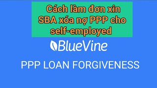 PPP LOAN FORGIVENESS: cách điền đơn xin xóa nợ cho những người apply với  BLUEVINE