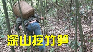 农村小伙去深山挖竹笋，竹林里看见两条大蟒蛇，吓的竹笋都不要了，赶紧跑【民间小邓】