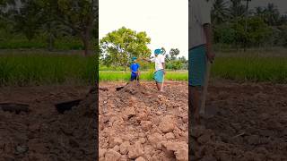 ஆத்தாவும் அய்யாவும் 🌾🌾#shorts #trending #agriculture #youtubeshorts