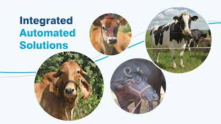 Modern Dairy Farming Solutions from DeLaval India